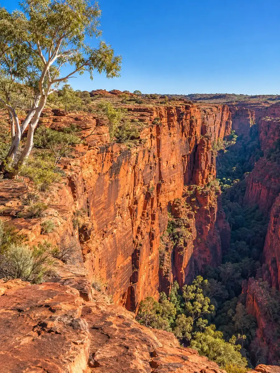 Le imponenti pareti di arenaria rossa di Kings Canyon viste dal bordo sotto un cielo blu intenso